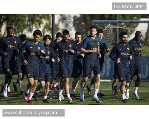 葡萄牙与波黑激战正酣谁能在国际赛场上笑到最后 葡萄牙与波黑激战正酣谁能在国际赛场上笑到最后